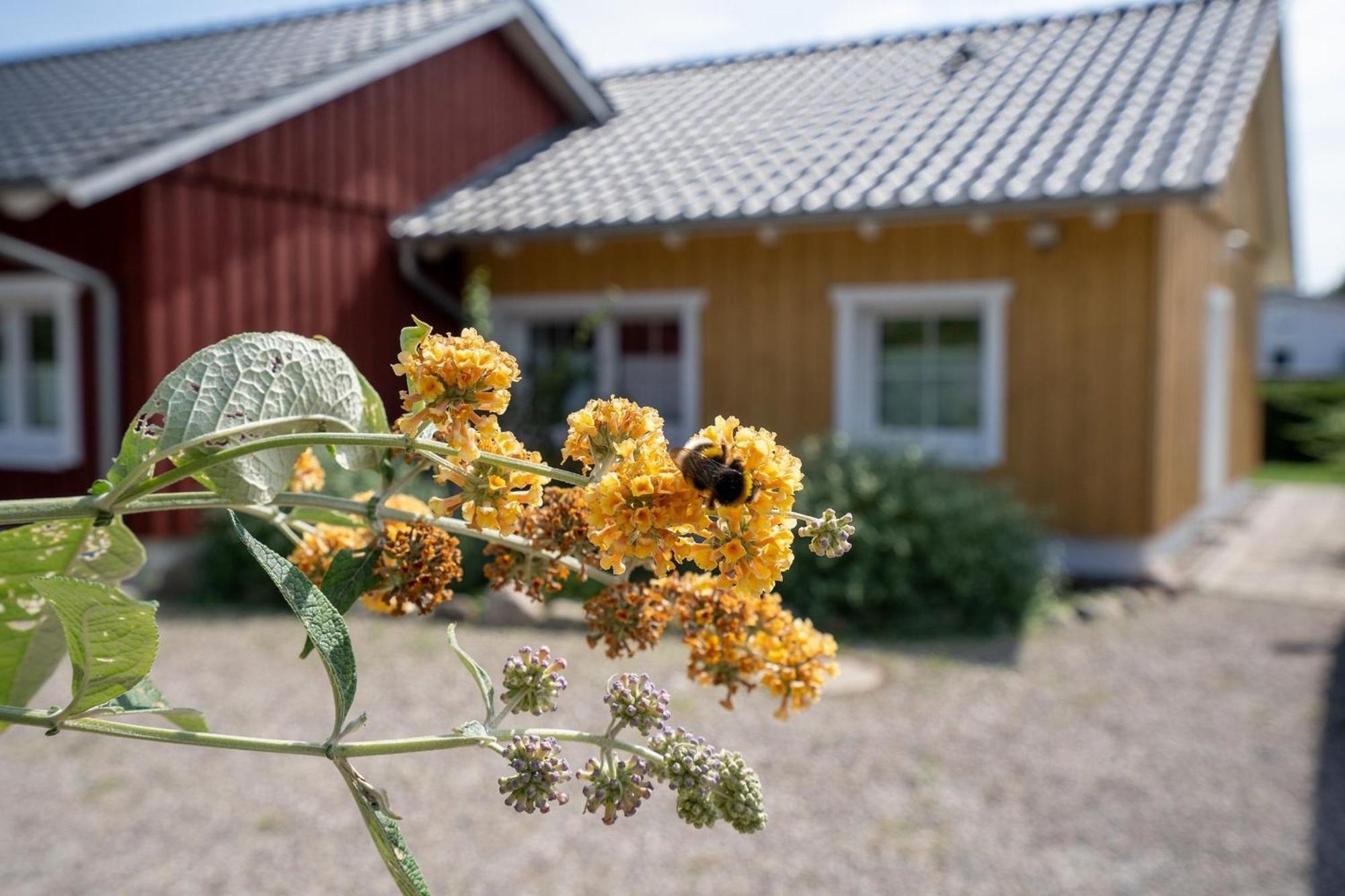 Вилла Alte Dahme Haus 2 Экстерьер фото